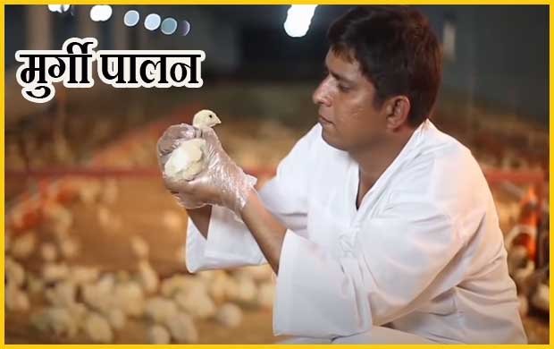 Poultry Farming Business in Hindi